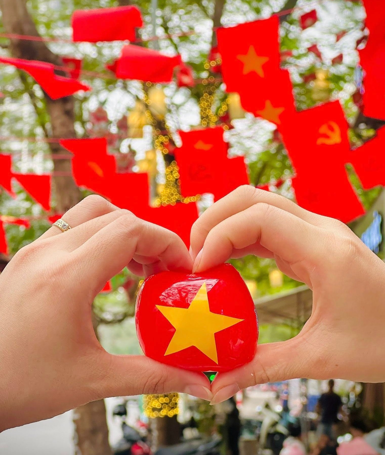 Bánh xu xê hình cờ đỏ, sao vàng