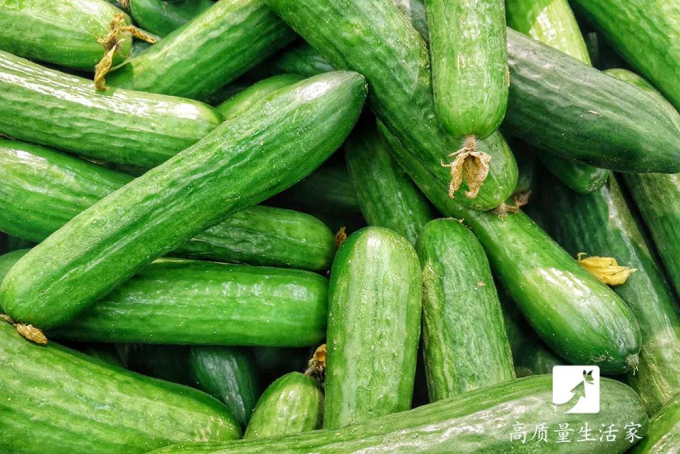 Dưa chuột chọn quả thon, còn gai sẽ tươi, ngon hơn. Ảnh: Aboluowang