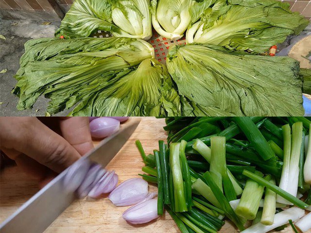 Hướng Dẫn Muối Dưa Cải Vàng Ngon, Giòn Không Bị Hư - 1