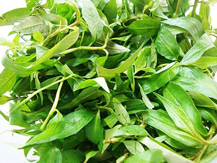 Rau răm tươi ngon