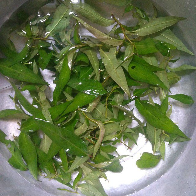 Không mua rau răm khi thấy lá đã bị dập, héo hoặc lá rau đã ngả màu vàng.