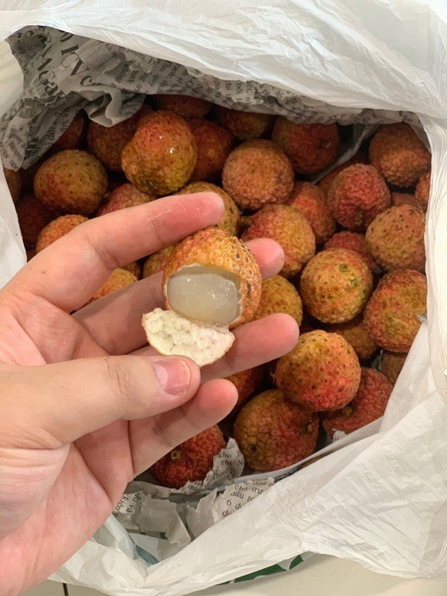 Phủ thêm lớp báo và bảo quản