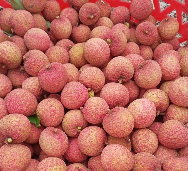 Cắt từng quả vải