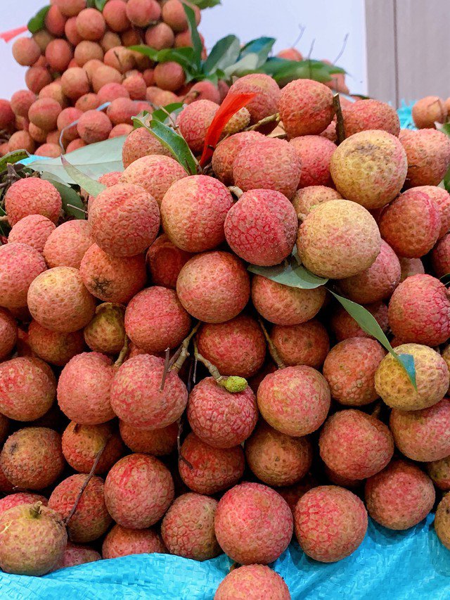 Vải thiều cuối mùa