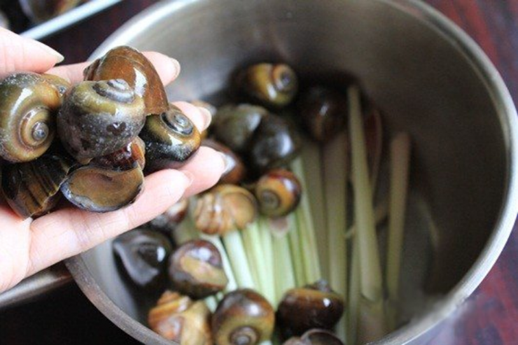 Những Bí Quyết Luộc Ốc Ngon Tuyệt Đỉnh, Đảm Bảo Sạch Sẽ Như Nhà Hàng - 1