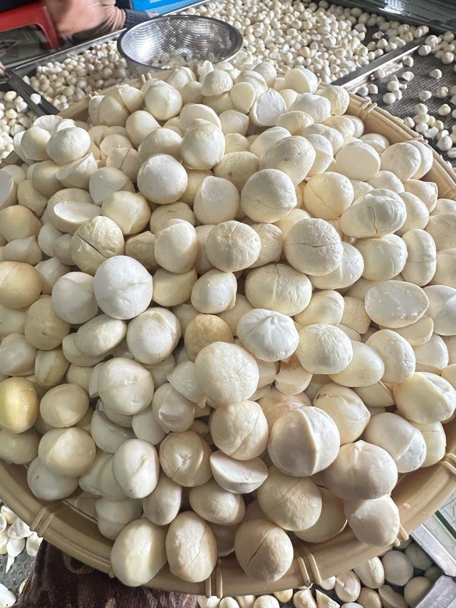 Hạt macca rất tốt cho sức khỏe và có thể chế biến được nhiều món ngon