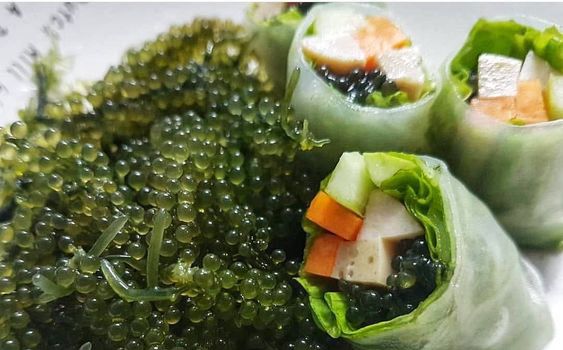 Siêu thực phẩm bảo vệ sức khỏe tim mạch có sẵn ở biển Việt Nam, bán đầy trong các siêu thị, chế biến nhiều món ngon - 2