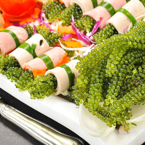 Siêu thực phẩm bảo vệ sức khỏe tim mạch có sẵn ở biển Việt Nam, bán đầy trong các siêu thị, chế biến nhiều món ngon - 3
