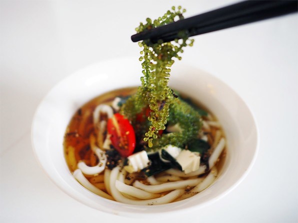 Siêu thực phẩm bảo vệ sức khỏe tim mạch có sẵn ở biển Việt Nam, bán đầy trong các siêu thị, chế biến nhiều món ngon - 9