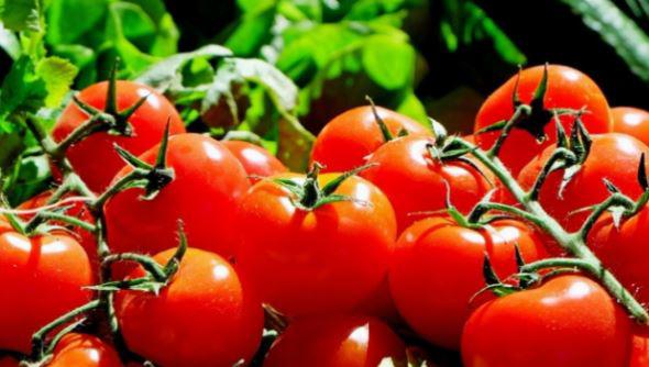 Cà chua và sức khỏe tiêu hóa