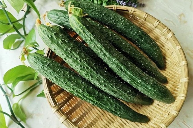 Những sai lầm khi tiêu thụ dưa chuột mà nhiều người không nhận ra - 1