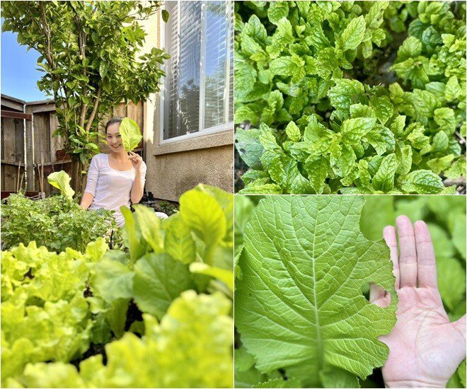 Mâm cơm Việt giản dị đầy bất ngờ của nữ diễn viên nổi tiếng giữa trời Tây - 3