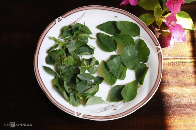 Rau ngót lá nhỏ, dày khi nấu ngon hơn.