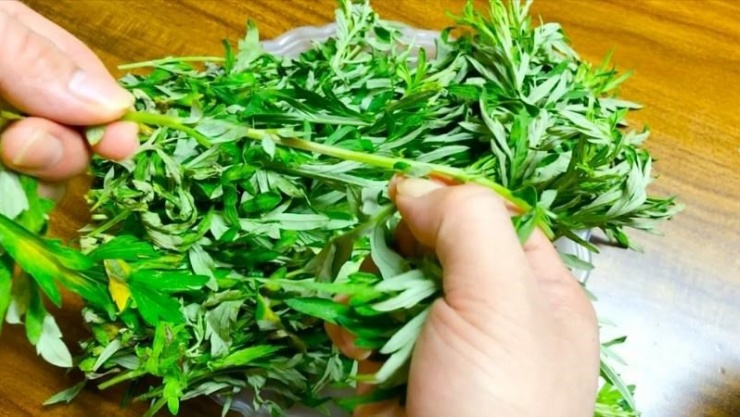 3 món ăn ngon từ rau ngải cứu - 2