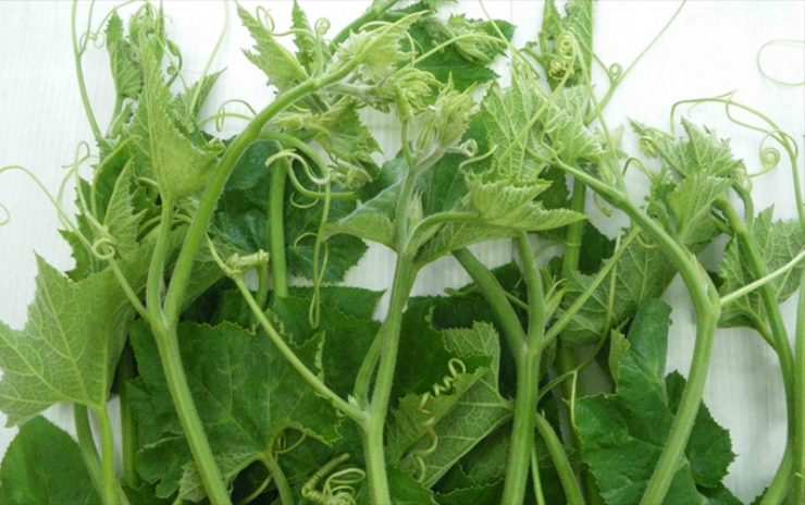 Món Ngon Bổ Dưỡng Giúp Giảm Viêm Khớp Dạng Thấp - 1