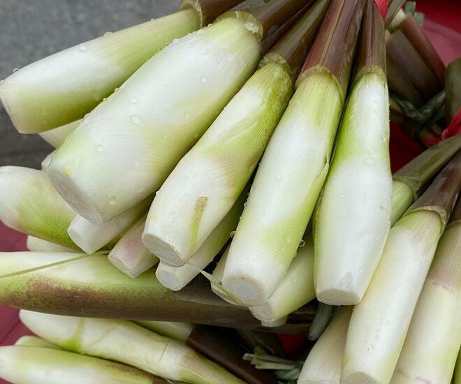 Củ Niễng - Đặc Sản Quý Giá Từ Thiên Nhiên: 10+ Món Ngon Cho Bữa Cơm Gia Đình - 1