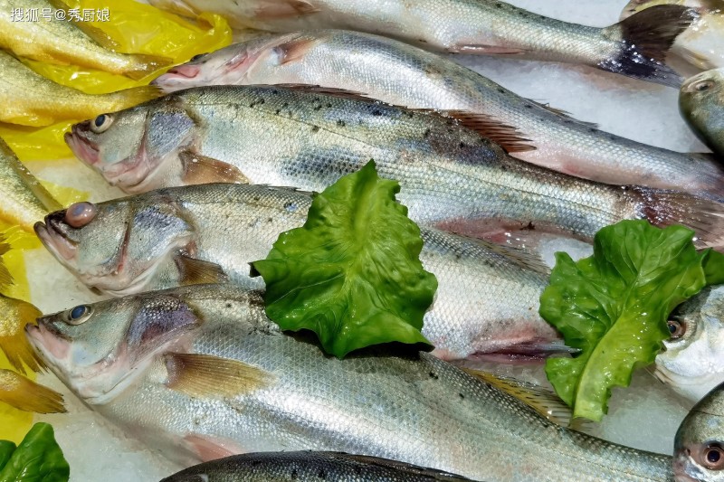 4 loại cá bổ dưỡng nhất được bác sĩ khuyên nên ăn, ai cũng có thể mua dễ dàng - 1