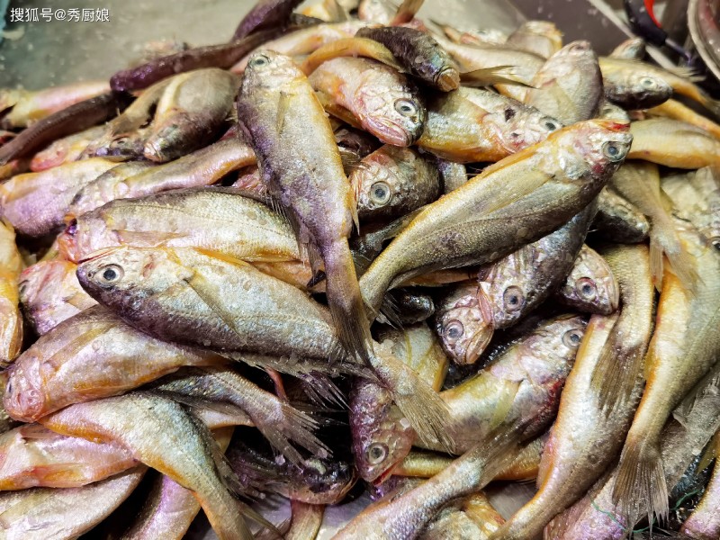 4 loại cá bổ dưỡng nhất được bác sĩ khuyên nên ăn, ai cũng có thể mua dễ dàng - 3