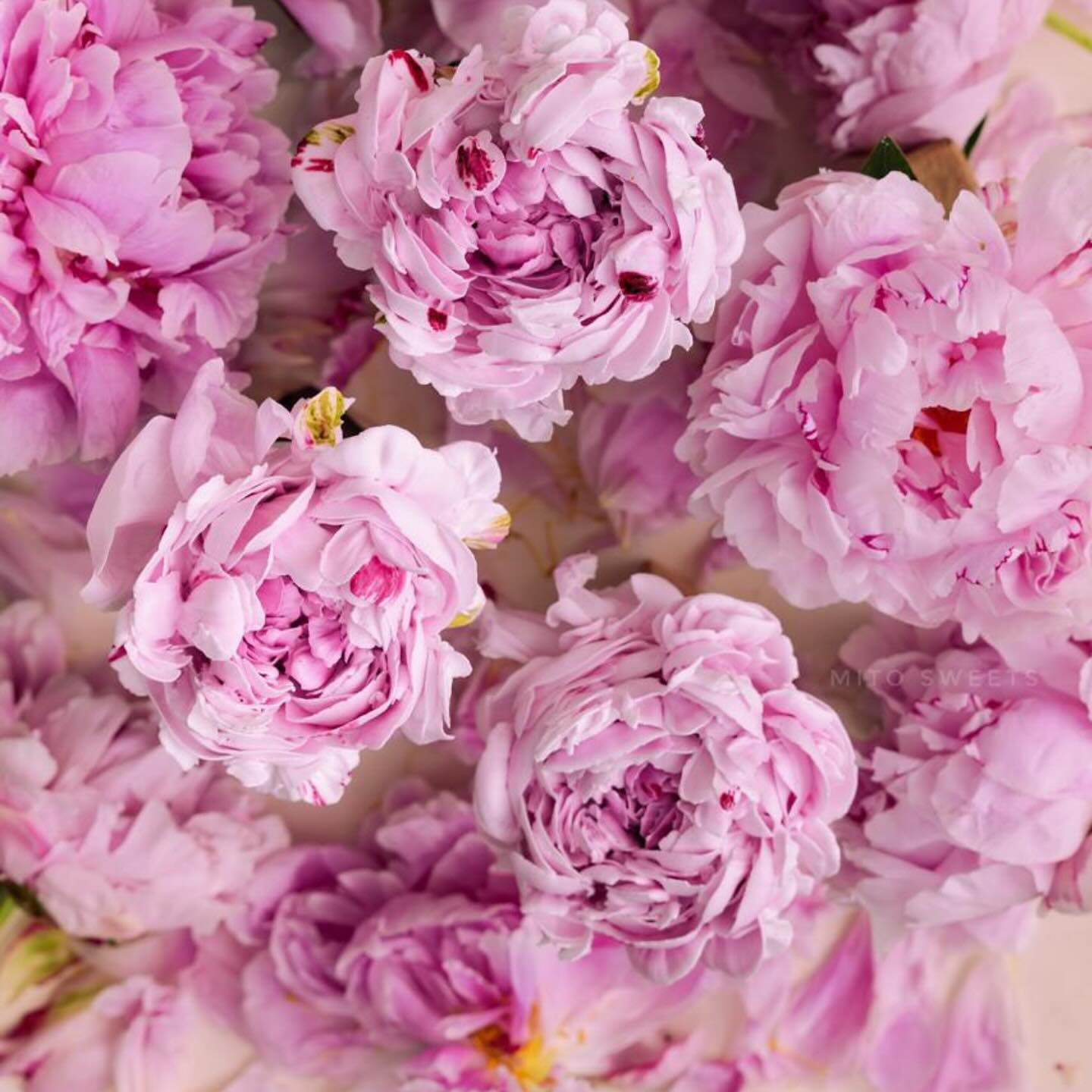 Ngoài các lớp học làm bánh ở Việt Nam, mỗi tháng, anh đều đặn bay đến Singapore và Malaysia 1-2 lần để giảng dạy cho các học viên yêu thích làm bánh ở đất nước này.