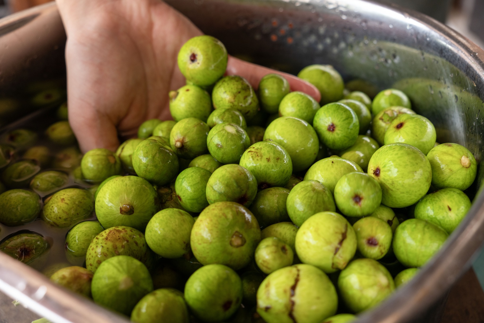 Sơ chế sung: cắt bỏ cuống, rửa sạch rồi ngâm trong nước muối loãng khoảng 15 phút cho bớt nhựa.